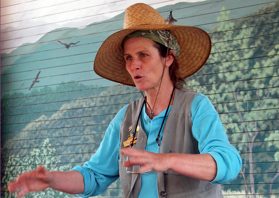 Learn about Ozark remedies and recipes from herbalist Tina Wilcox.