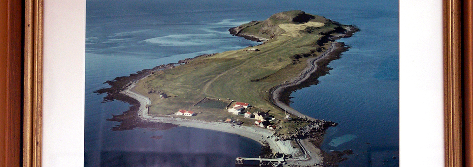 Vigur Island, Iceland, aerial view
