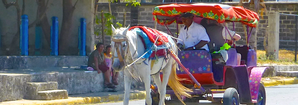 Nicaraguan horse and carriage in San Juan del Sur