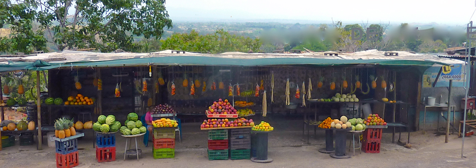 Costa Rican roadside fruit stand