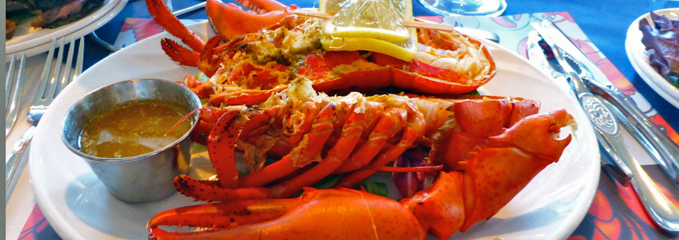 our dinner -- “homard à volanté”, all-you-can-eat lobster, at the Riôtel Percé in the Gaspé Peninsula 