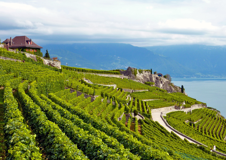 Chexbres, in the Lavaux region of Switzerland