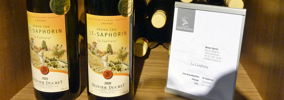 St. Saphorin wine, Lavaux Vinorama, Rivaz, Switzerland