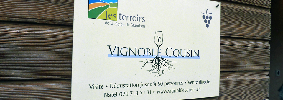 Vignoble Cousin in Concise