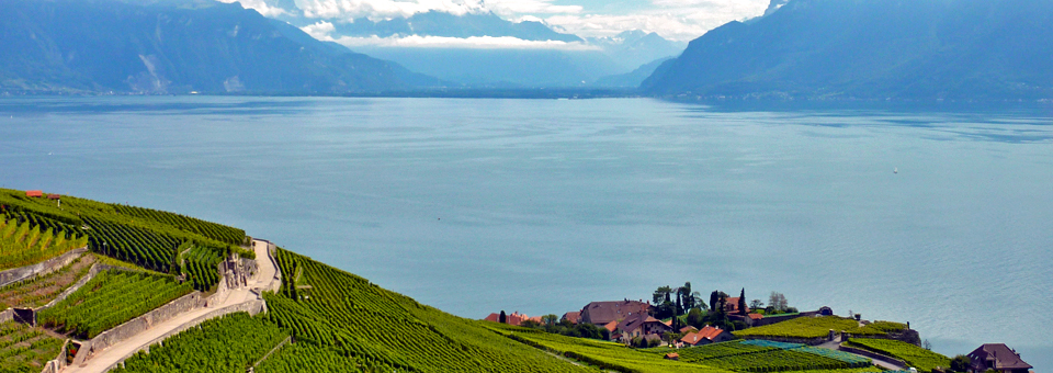  Lavaux slope overlooking Lake Geneva, Chexbres