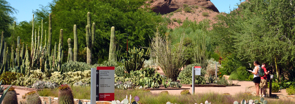  Desert Botanical Garden, Phoenix, Arizona