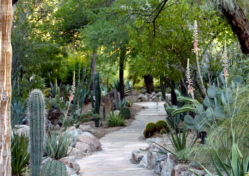 garden pathway, The Phoenician, Scottsdale, Arizona