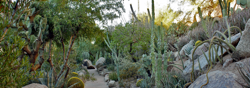 gardens pathway, The Phoenician, Scottsdale, Arizona