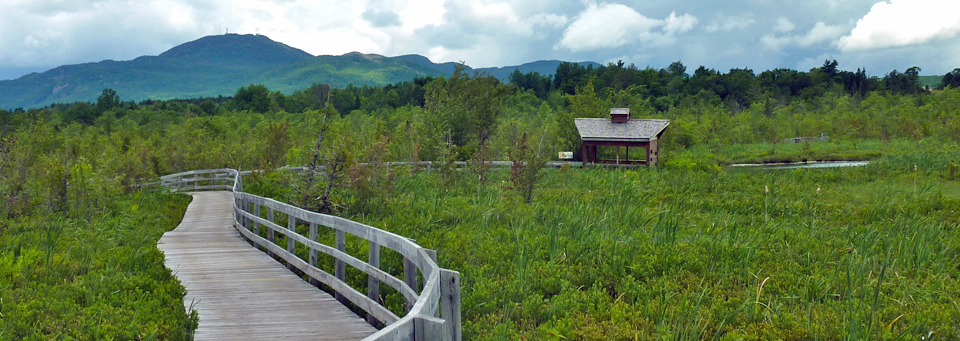 LAMRAC, a nature interpretation center and marsh, has nearly a mile and a half boardwalk through protected wetlands in the Eastern Townships