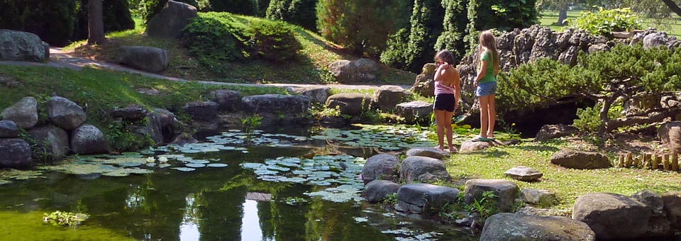 Lily pond, Sonnenberg Gardens, Finger Lakes, New York