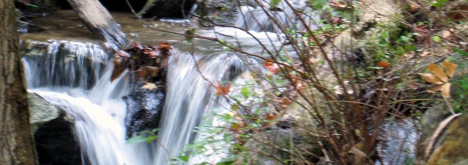 waterfall, Dahlonega