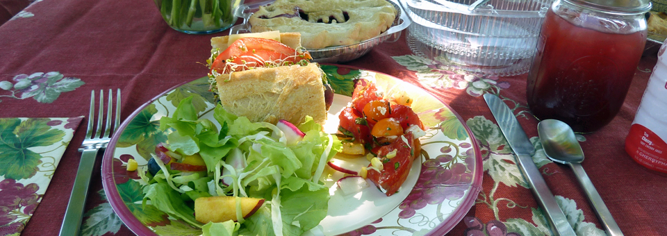 picnic of locally sourced foods, Finger Lakes , New York