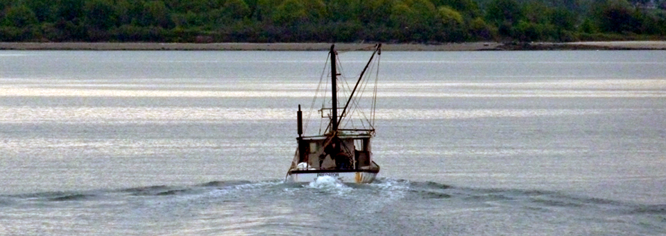 fishing boat, Casco Bay, Portland, Maine 
