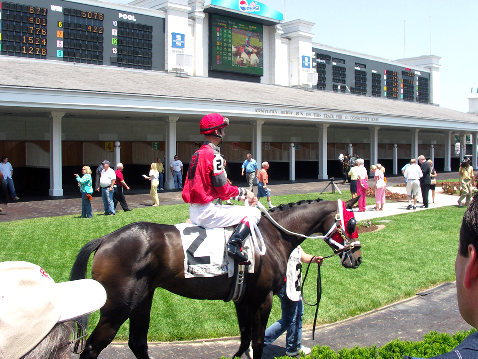 Thoroughbreds are paraded for all to see before the race at Churchill Downs, Louisville, Kentucky.