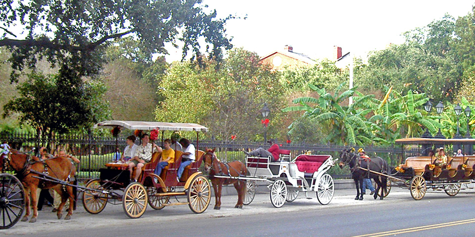 horse-drawn carriage, New Orleans, Louisiana