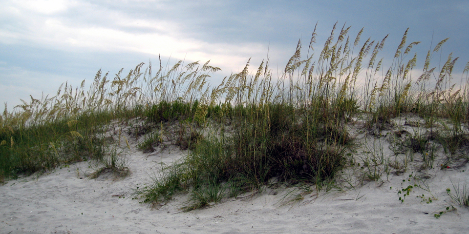 sand dune, One Ocean, Jacksonville, Florida