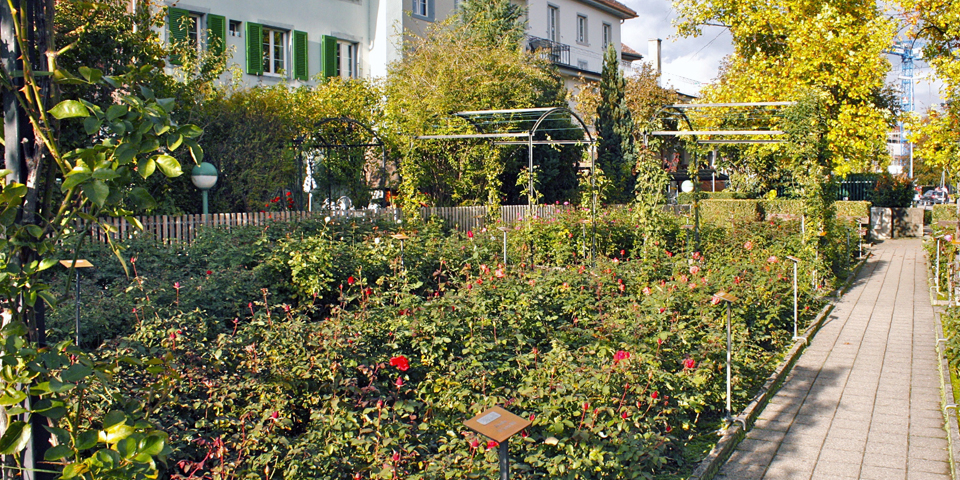 rose garden for the blind and visually impaired, Rapperswil, Switzerland