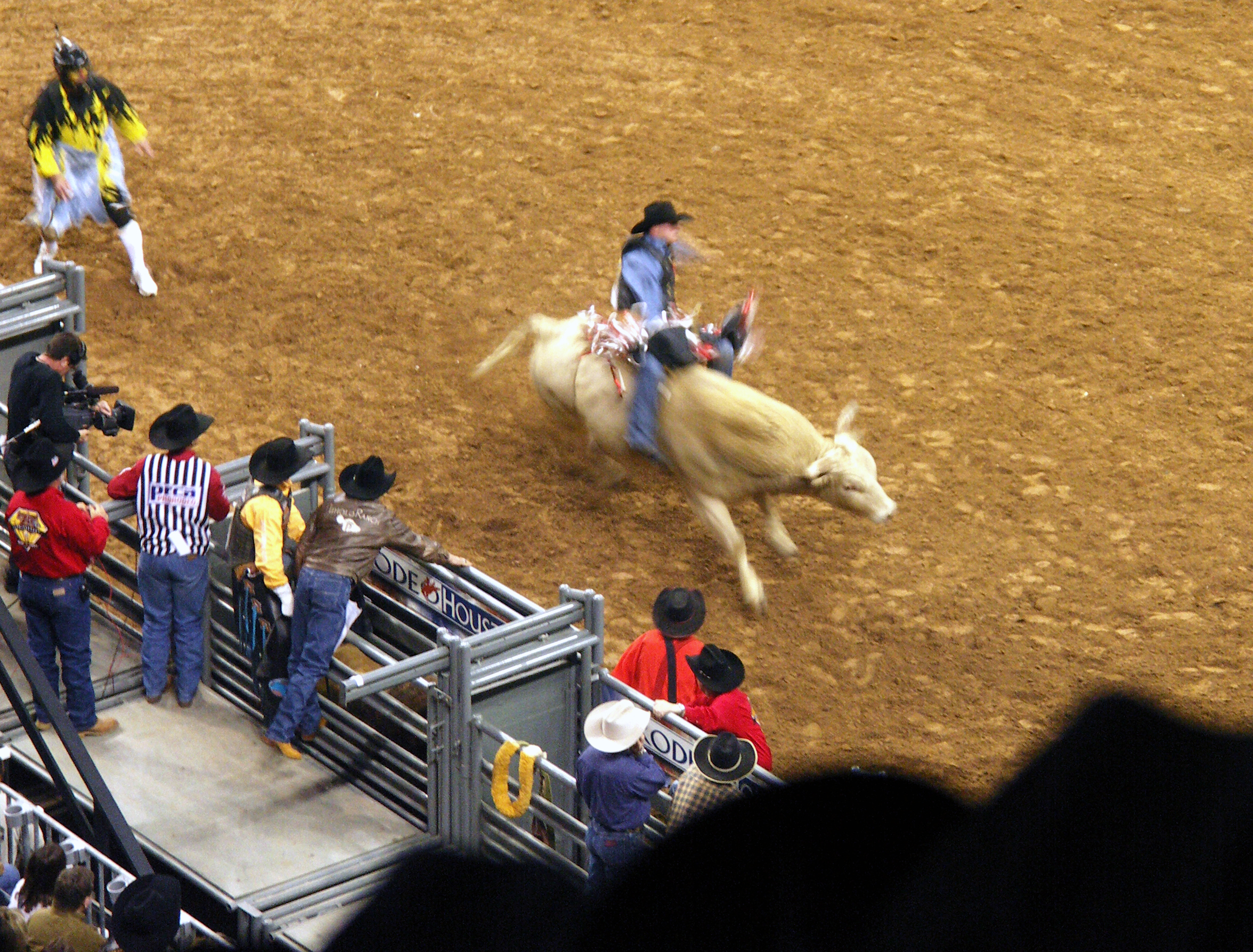 Houston Livestock Sow and Rodeo, Texas