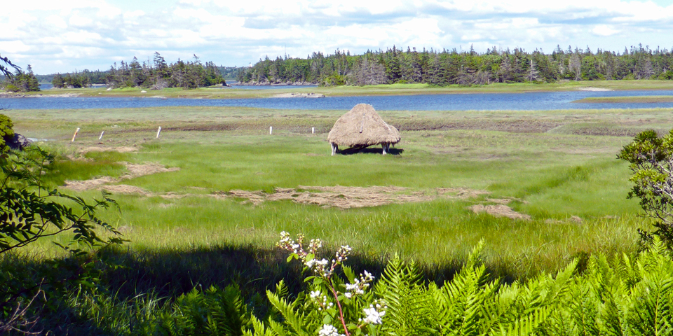salt hay stacks at Le Village historique acadien de la Nouvelle Ecosse, Nova Scotia
