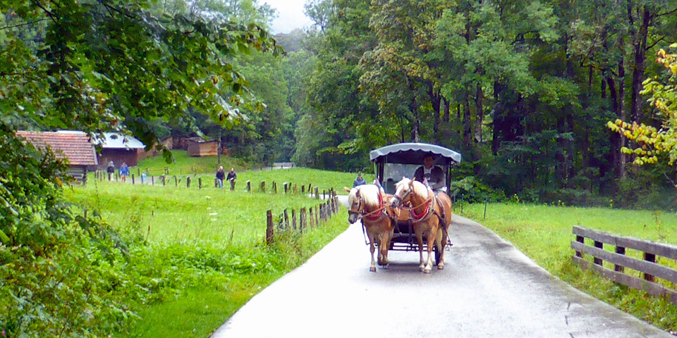 horse and carriage, Partnach Gorge, Garmisch-Partenkirchen