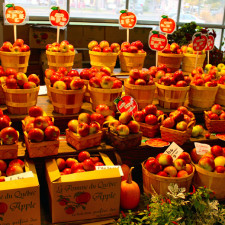 Quebec City public market, Marché du Vieux-Port, apples