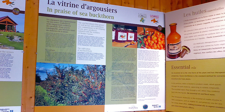 buckthorn poster, Savons des Cantons, Eastern Townships, Québec, Canada