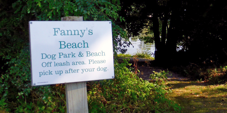 Fanny's Beach for dogs, Basin Harbor Club, Vergennes, Vermont
