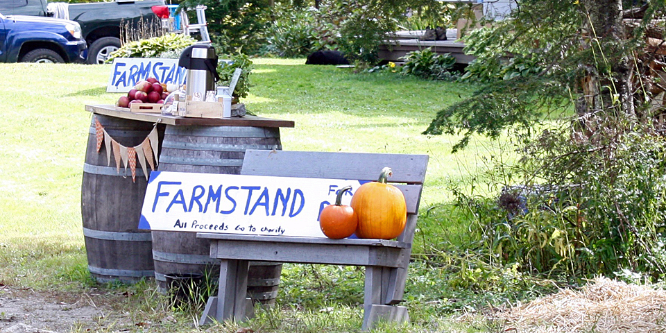 farm stand, Stowe, Vermont