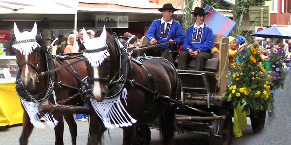 children, adults, and even horses were dressed for the harvest festivities and parade, Spietz, Switzerland