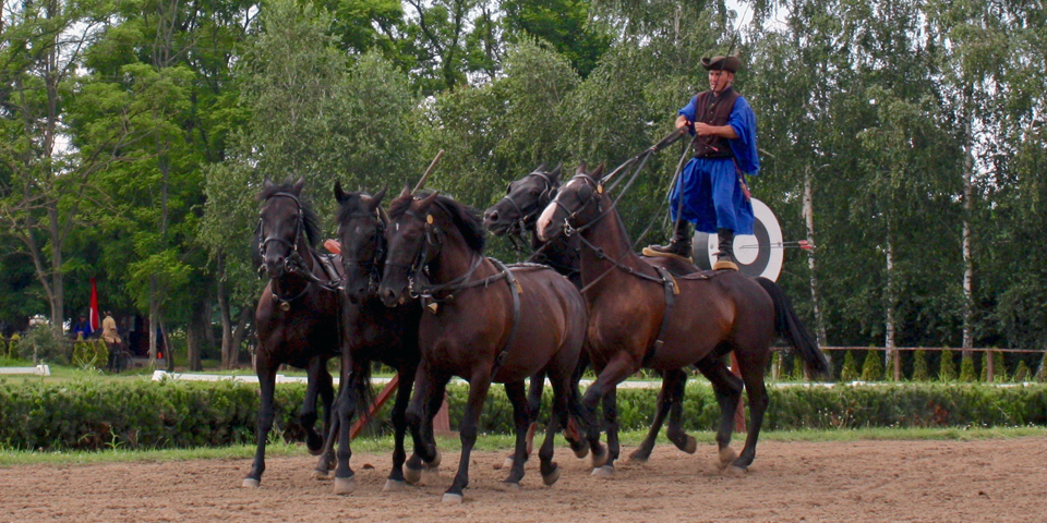 Hungarian Horsemen, an optional excursion during our Viking River Cruise