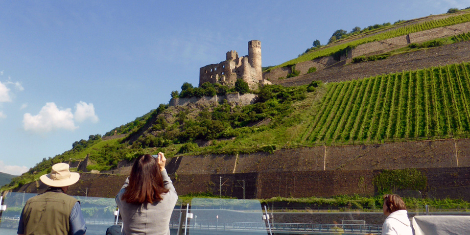 Castle of the Rhine from our Viking River Cruises longship