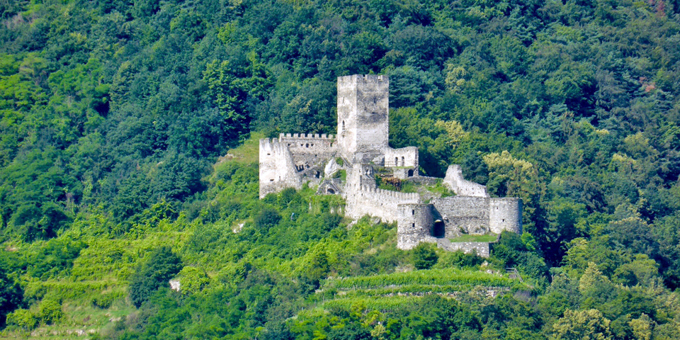 castles of the Rhine