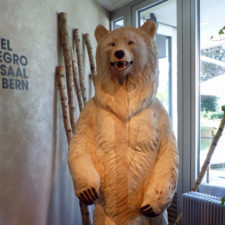 Bear at Hotel Allegro_Bern, Switzerland
