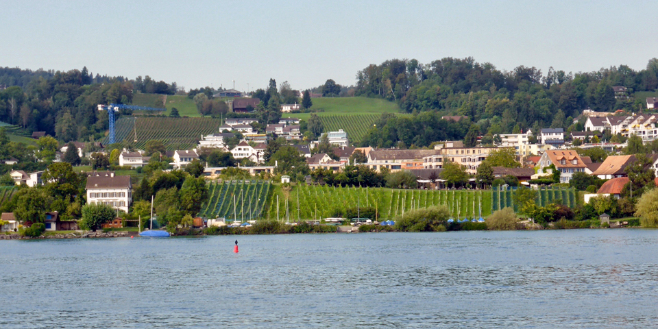 vineyards along Lake Zurich