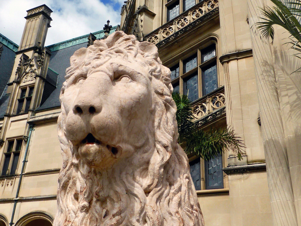 one of two lions at entrance to Biltmore House, Asheville, North Carolina