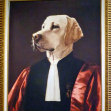 dog art, Bishop's Gate Hotel, Londonderry
