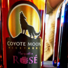 Coyote Moon wine, Clayton, NY