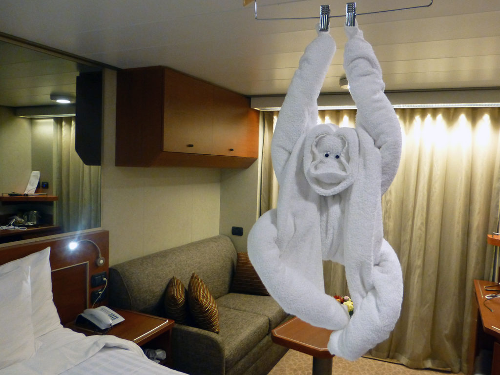 towel monkey in our stateroom, Eurodam