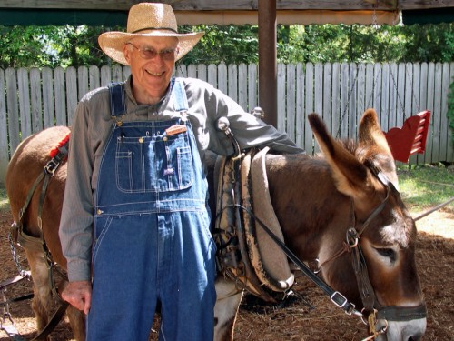 Bill Cross runs the picnic swing pulled by Rosie the donkey at Ozark Folk Center State Park.