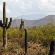 Have a grand time in Greater Phoenix