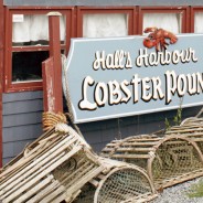 Ultimate lobsters and extreme tides: Hall’s Harbour, Nova Scotia
