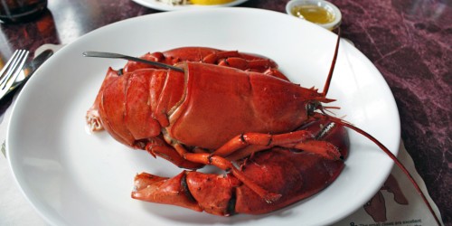boiled lobster, Hall’s Harbour Lobster Pound & Restaurant, Nova Scotia