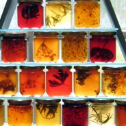 Farm to table: Nova Scotia’s Annapolis Valley