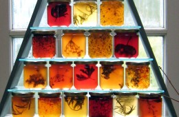 Farm to table: Nova Scotia’s Annapolis Valley