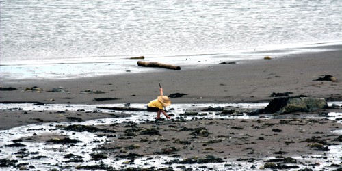 low tide, St. Andrews by-the-Sea, New Brunswick