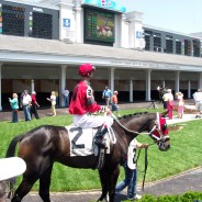 Kentucky: from Boone to bluegrass, bourbon, and barbecue