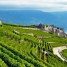 The Swiss Lavaux region: A votre sante!