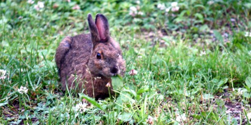 The Birches Resort at Moosehead Lake, Rockwood, Maine