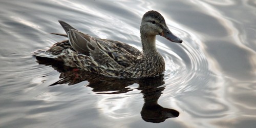 Moosehead Lake, Maine