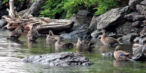 Moosehead Lake, Maine